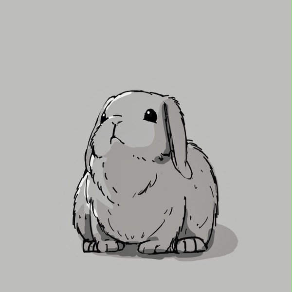 実家のうさぎ
