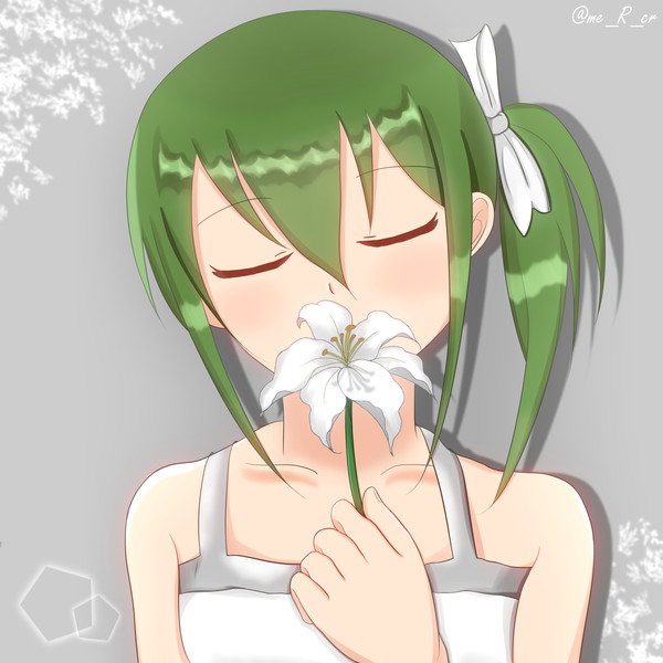 "白百合"