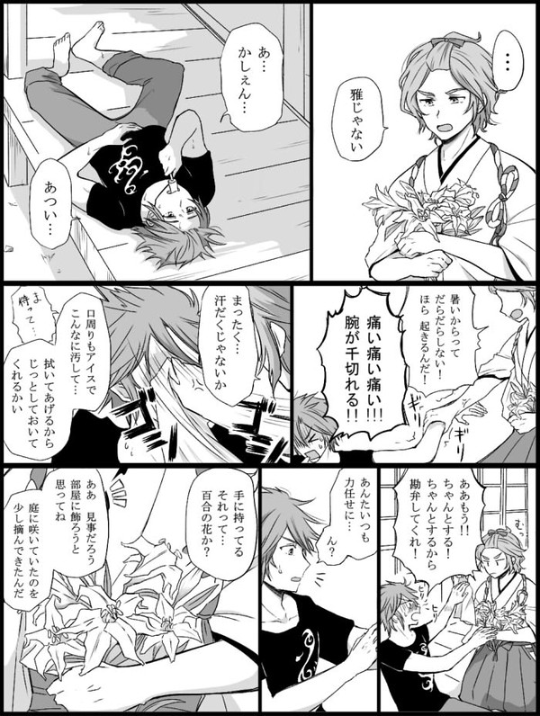 蝶々と花々