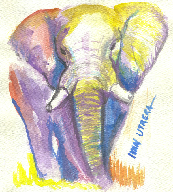 elephant