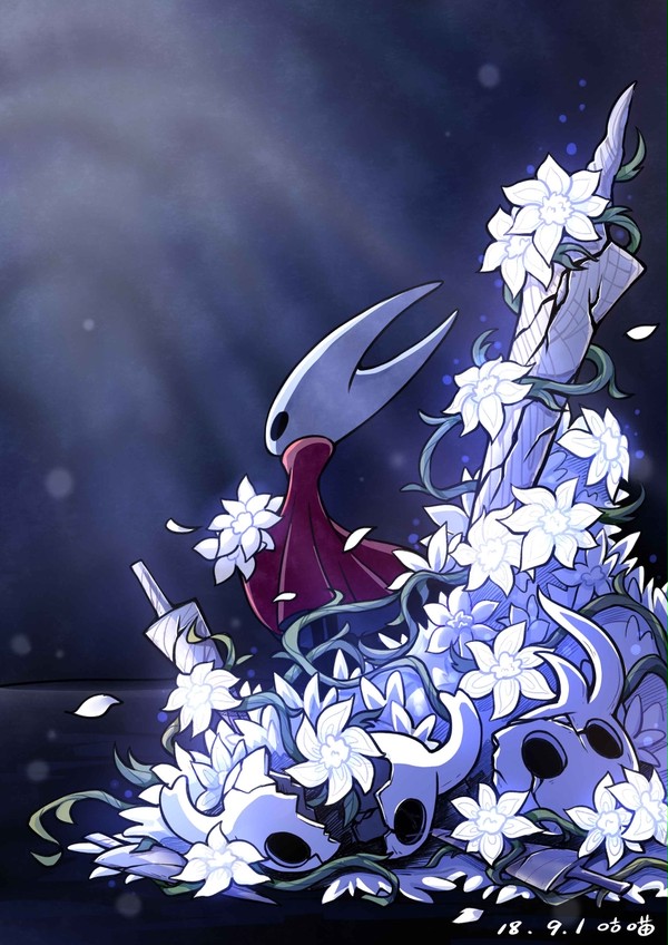 hollow knight