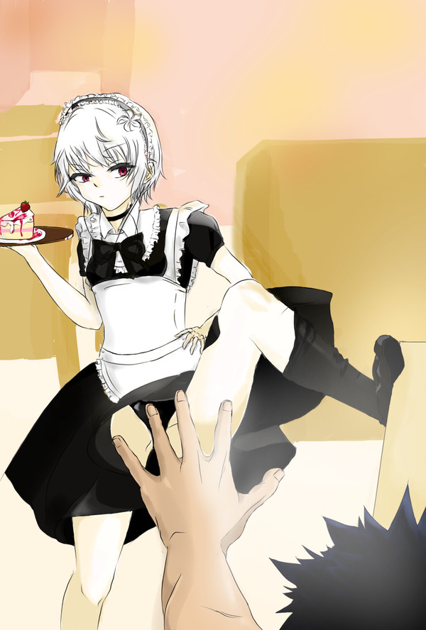 ＜とある魔術の禁書目録＞ーとあるメイドの鈴科百合子