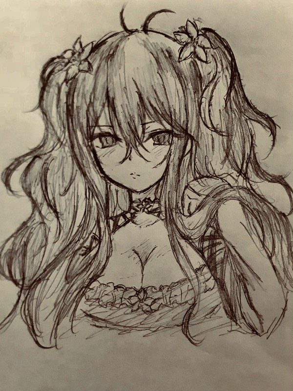 雪不帰