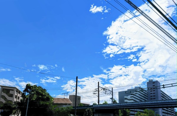 写真模写