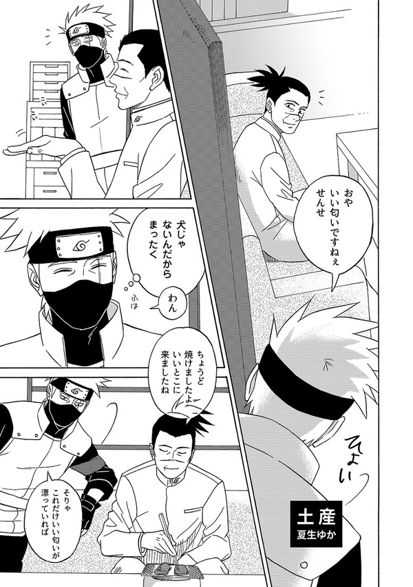 アンソロ寄稿原稿【カカイル】
