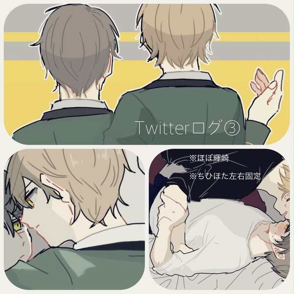 ついろぐ③