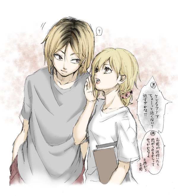やちさんとけんま