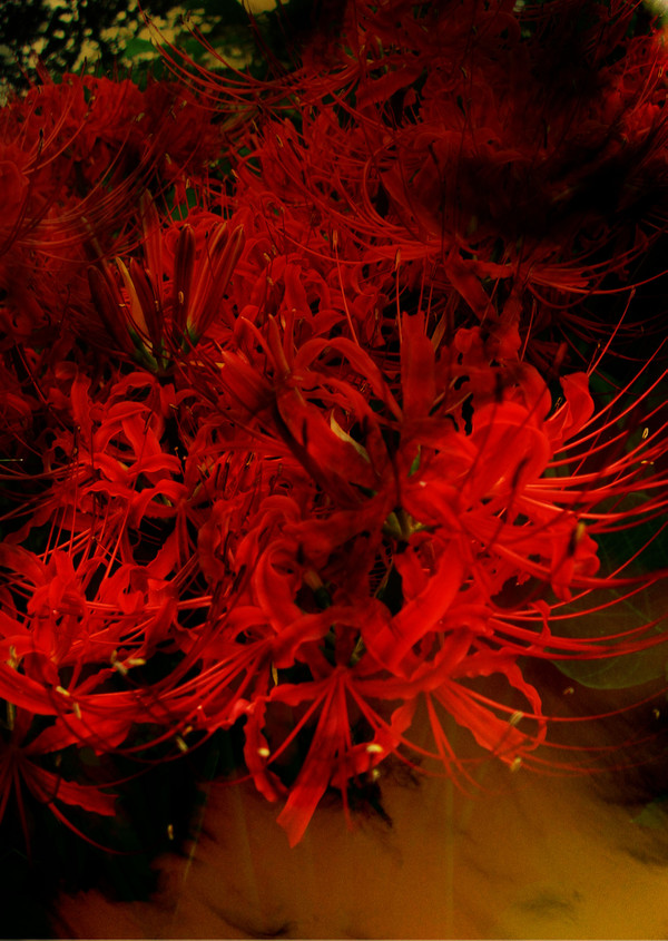 加工画像・紅夜流転