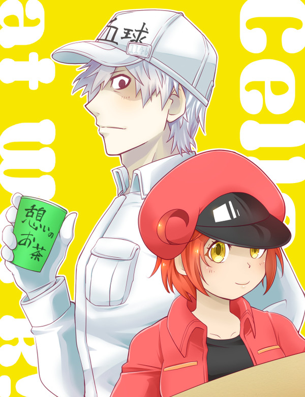 細胞詰め02