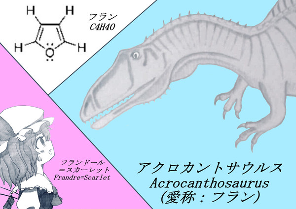 フラン×フラン×フラン