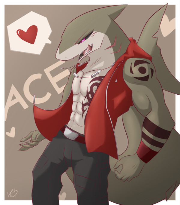 ACE - Playboy Shark
