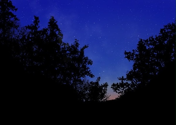 夜空