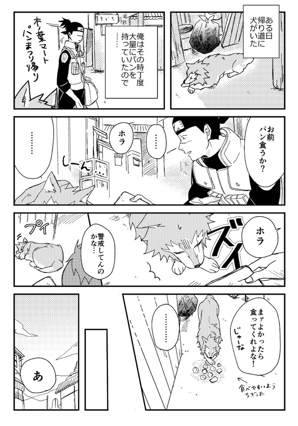 【全忍10】合同コピー本【カカイル】