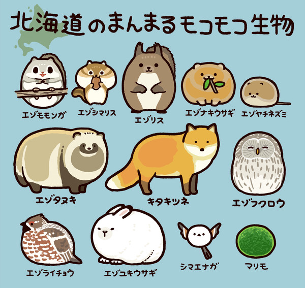 北海道のまるっこい生き物たち