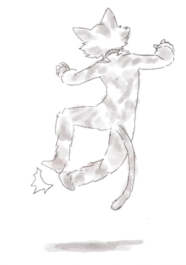 ねこまとめ