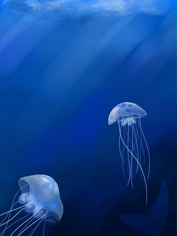 水母