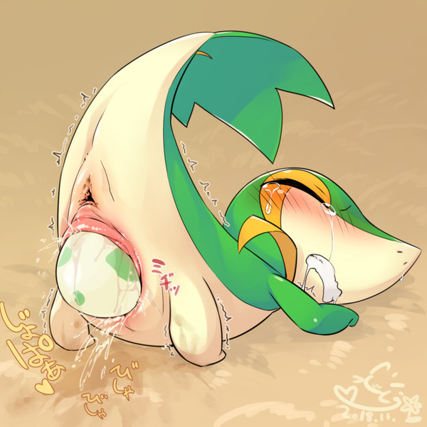 がんばってタマゴをひり出すツタージャちゃん