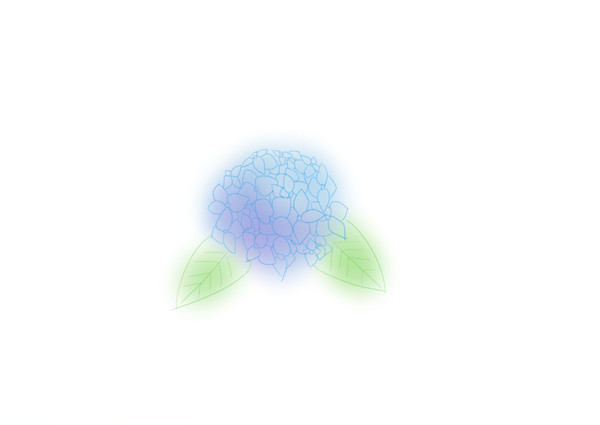 紫陽花(たぶん)