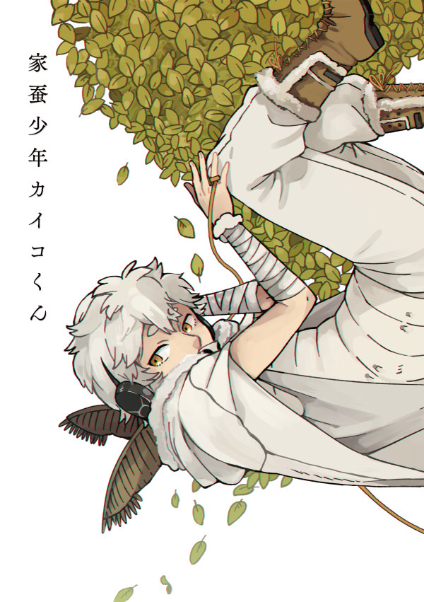 家蚕少年カイコくん