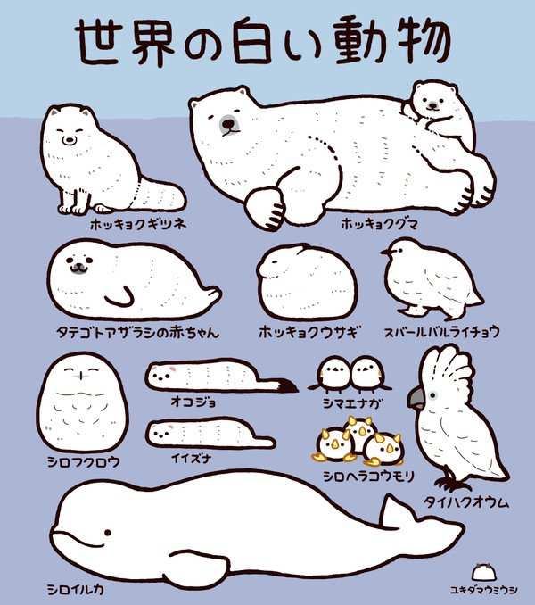 世界の白い動物