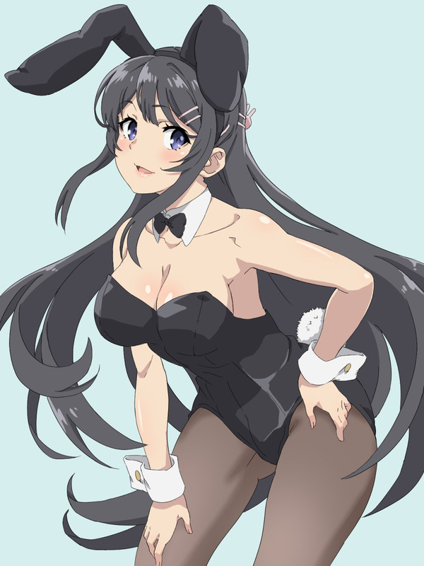 バニーガールの夢を見ない