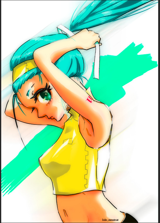 初音ミク-Beach flag style?-