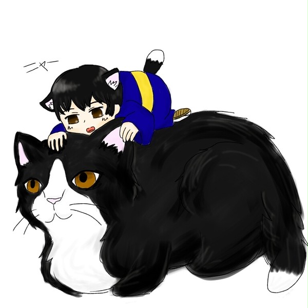 菊くんと たま