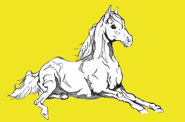 馬