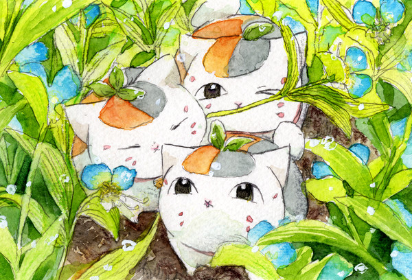 夏目うつせみ後log