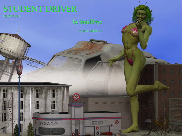 Student Driver images