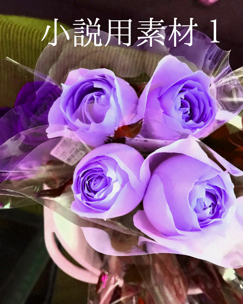 表紙用素材 薔薇。カラフル