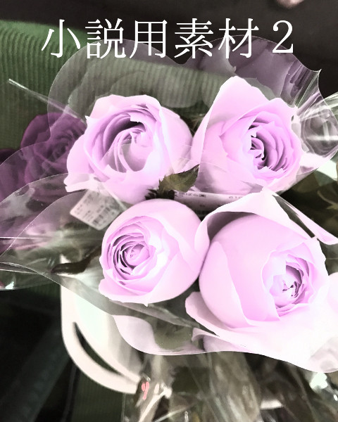 小説用表紙 薔薇。色抑えめ