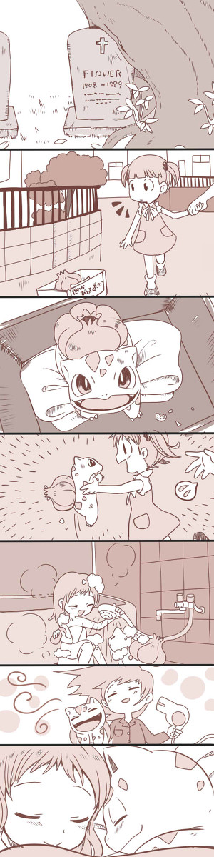 やどりぎのたね