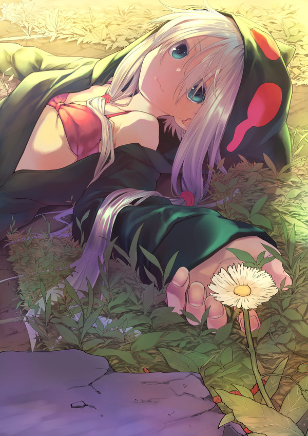 C95新刊表紙