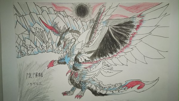 33 陰陽龍 ノウガルミ