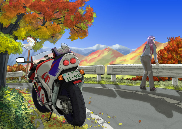 紅葉の効用