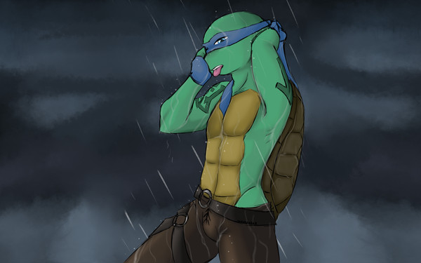 TMNT Log 03