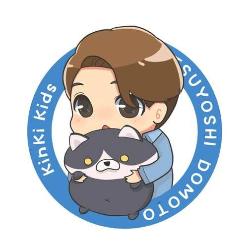 KK与滚滚猫