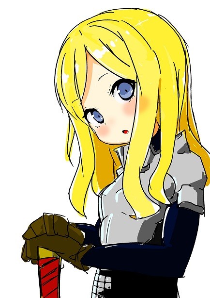 パラディンちゃそ