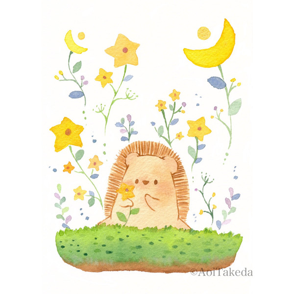 ⭐︎