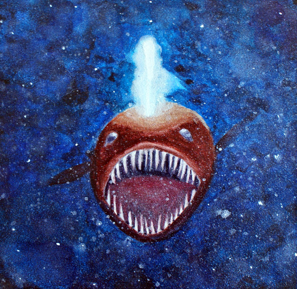 Angler Fish