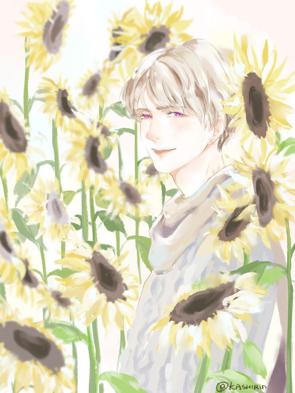 ヒマワリ