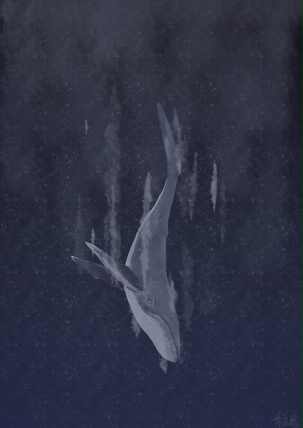 《鲸落》