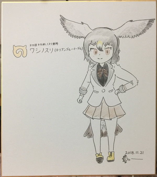 ワシノスリ(チリアンブルーイーグル)