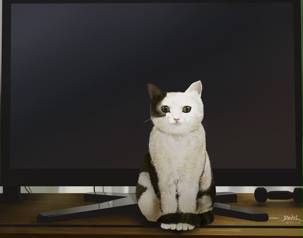 假装有猫~