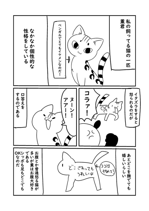 日記漫画　薫君