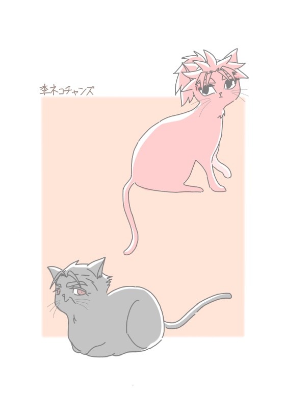 ネコチャン