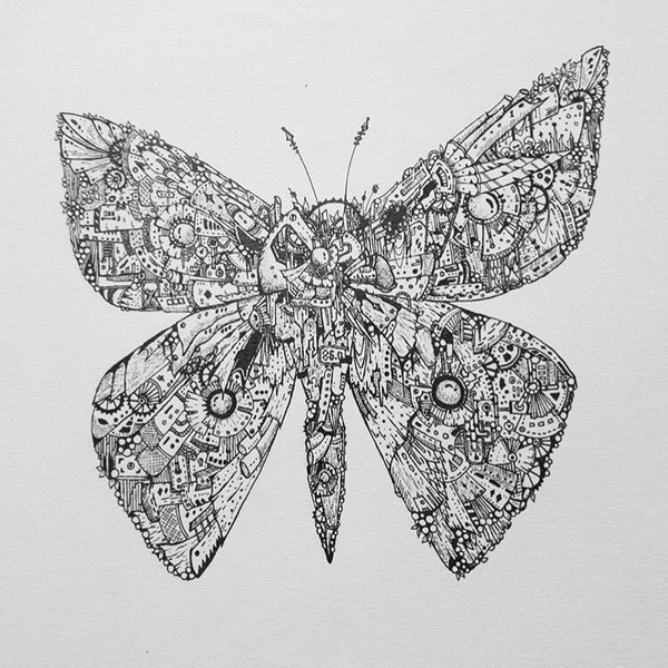 Butterfly