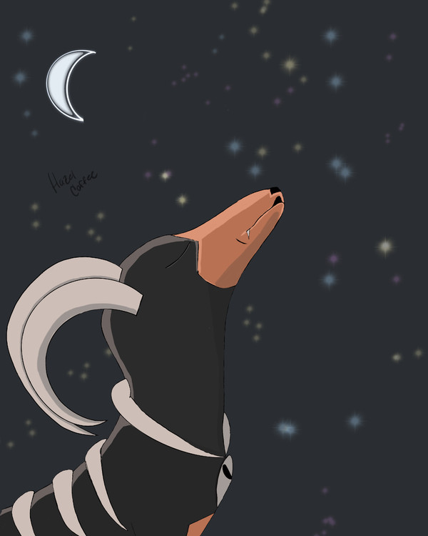 Houndoom Howling in the Night
