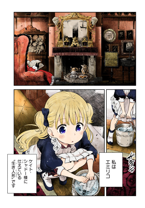 影のような主人と人のようなメイドの話